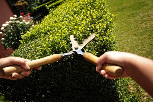 Free quote policy for Tree Surgeons Spitalfields with clear itemised estimates
