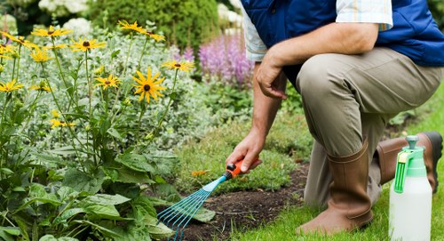 Local hedge cutting service for residential and commercial spaces