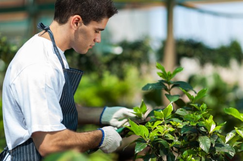 Tree Surgeons Spitalfields payment methods including card and online options